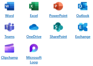 MS Office 365 Licenses